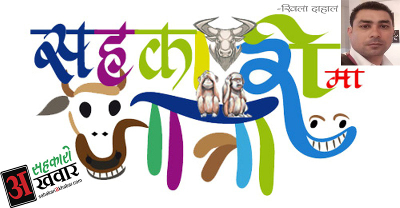 रिसानी माफ है ! सहकारी जात्रामा 